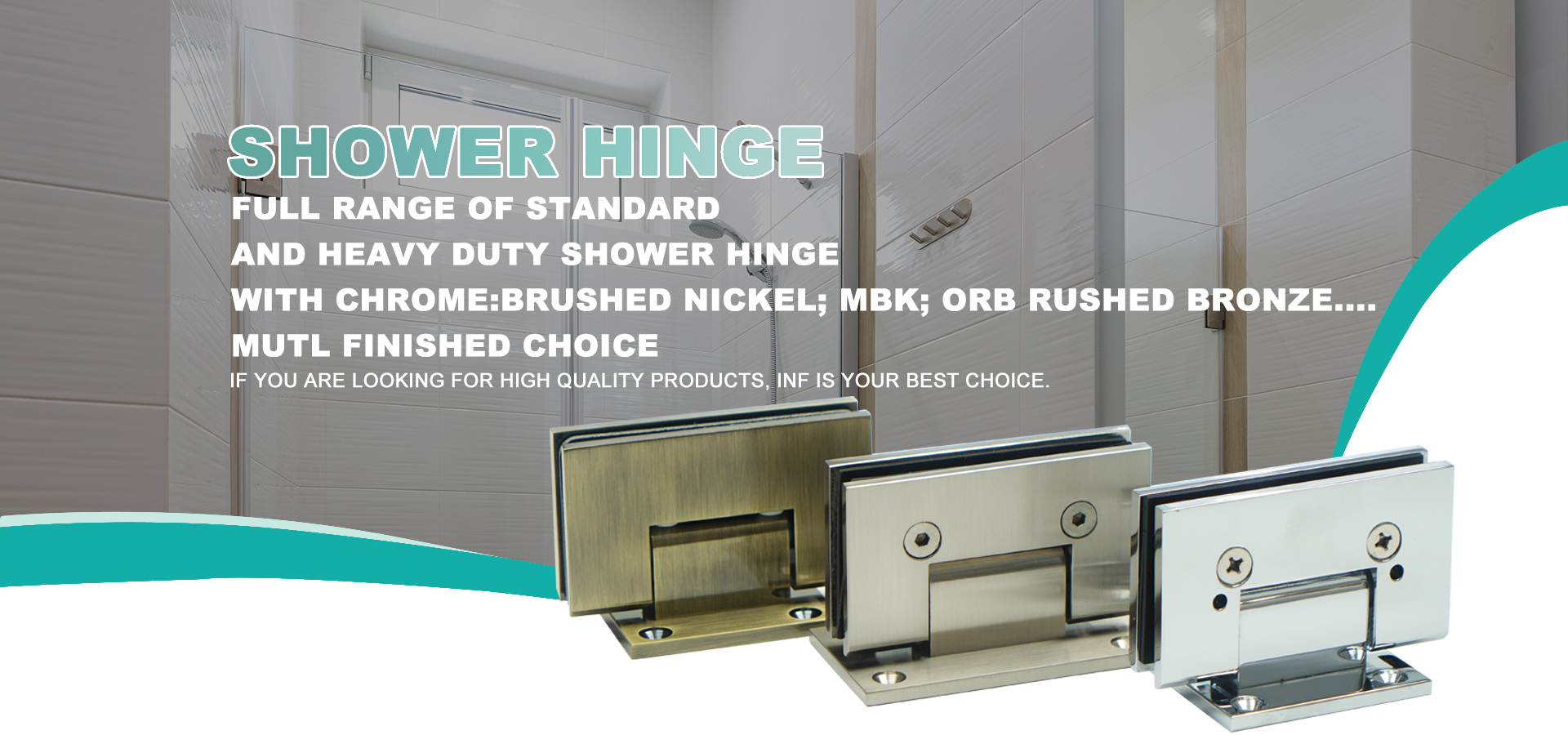 Shower Door Hinges